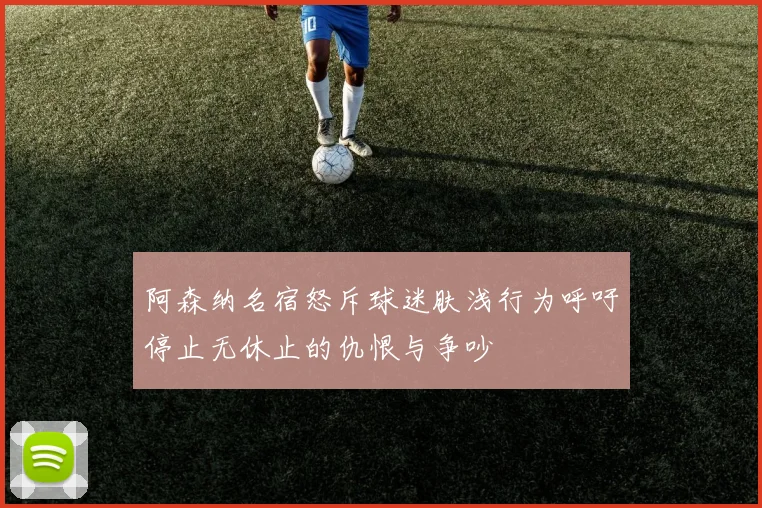 阿森纳名宿怒斥球迷肤浅行为呼吁停止无休止的仇恨与争吵