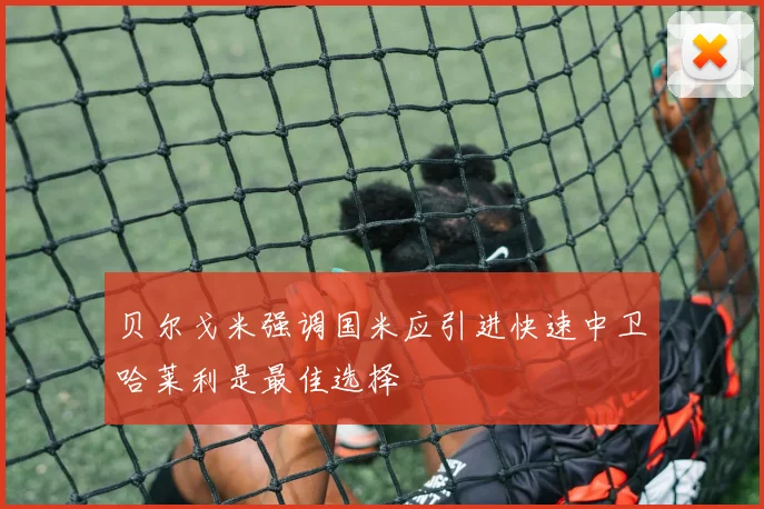 贝尔戈米强调国米应引进快速中卫哈莱利是最佳选择