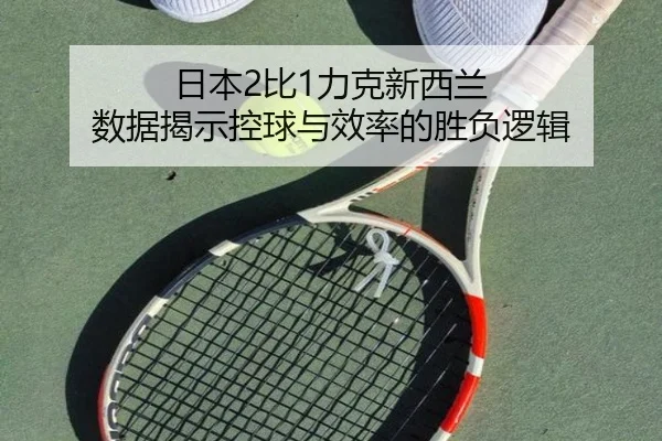 日本2比1力克新西兰 数据揭示控球与效率的胜负逻辑 - HuiYing